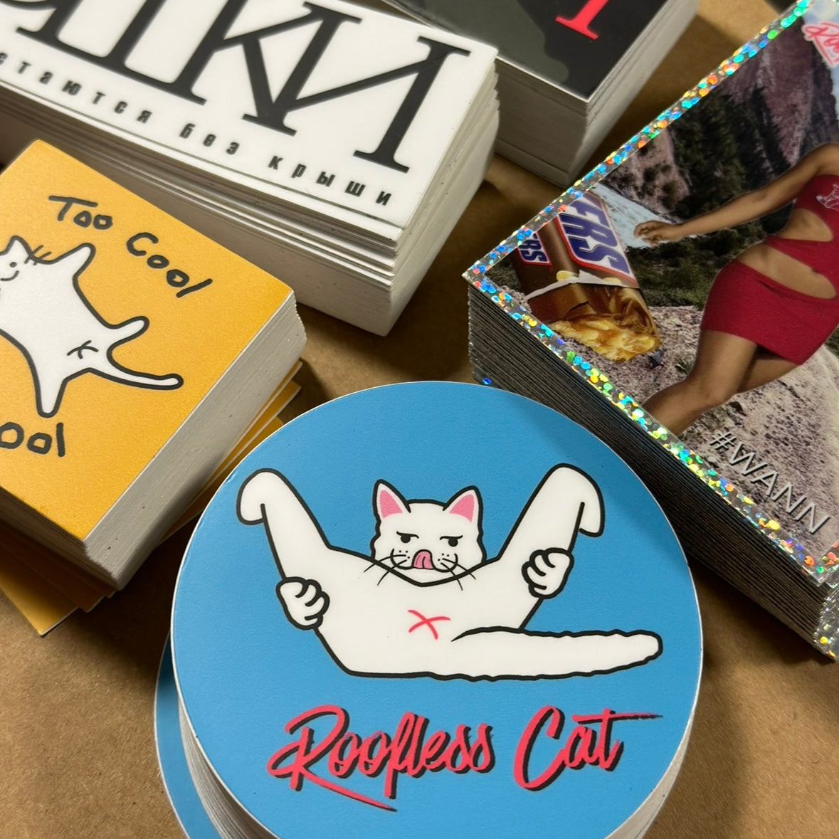 Sticker - Roofless Cat KIRGISTAN Collection